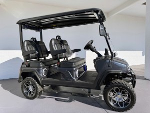 Artic Grey Evolution D5 Maverick Forward Facing Golf Cart 012